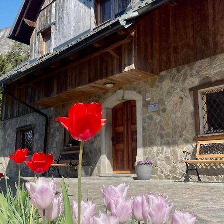 4 Elements Resort Bled 보힌스카 벨라 외부 사진