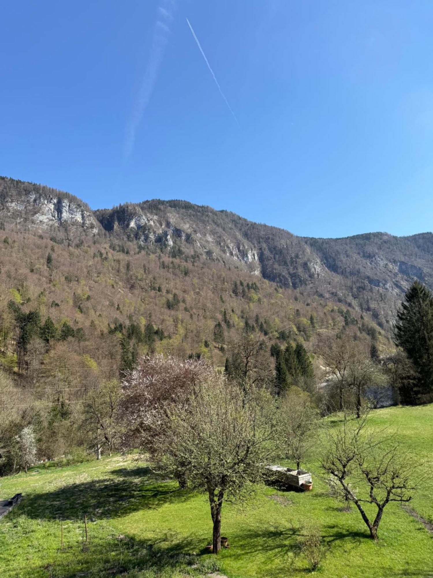 4 Elements Resort Bled 보힌스카 벨라 외부 사진