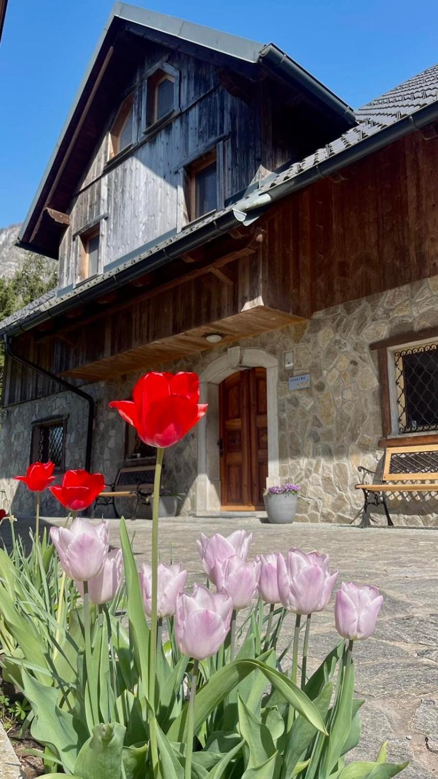 4 Elements Resort Bled 보힌스카 벨라 외부 사진